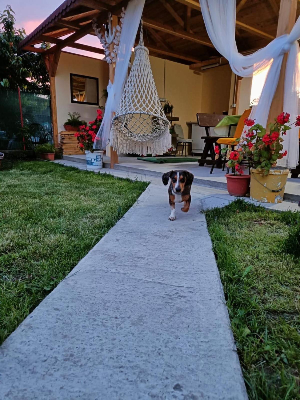 Casa Enka Hotel Tuzla Luaran gambar